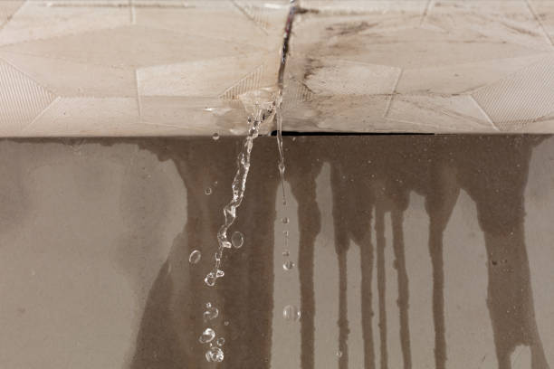 Professional Burst Pipe Cleanup technician working in Sycamore, IL